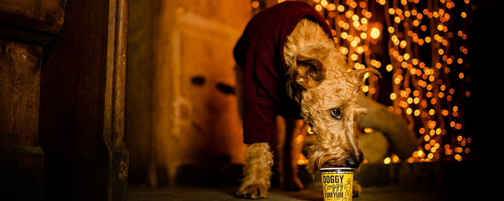 Doggy Doggy Yum Yum Wins “Highly Commended” at the 2025 PetQuip Awards! 🐾🎉