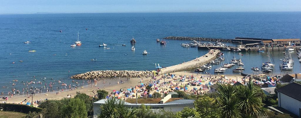 The 12 best things to do in Lyme Regis