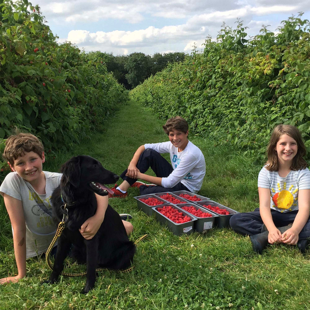 Annie's children and dog with raspberries