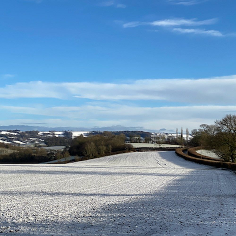 Dorset covered in snow